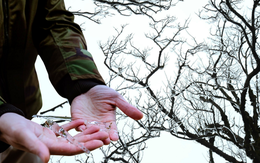 Xuất hiện băng giá trên đỉnh Phja Oắc, Cao Bằng