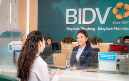 BIDV lãi lớn nhưng nợ xấu khoảng 27.600 tỉ đồng, cụ thể kết quả kinh doanh ra sao?