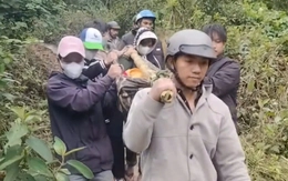 20 thanh niên khiêng võng băng rừng cứu cụ ông lâm bệnh giữa vùng bị cô lập