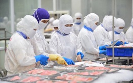 Ngành thủy sản tính năm nay khai thác và nuôi trồng trên 10 triệu tấn, xuất khẩu 11,5 tỉ USD