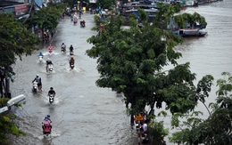 Tin vui cho người dân sống gần dự án ngăn triều 10.000 tỉ