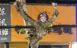 Ảnh vui 8-1: 'Oh wow! Nó ba-lê mà nó cũng yoga làm sao?!'