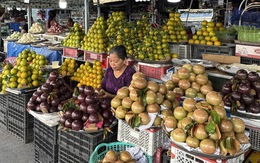 Vĩnh Long: Hơn 948 tỉ đồng dự trữ hàng hóa thiết yếu phục vụ Tết Nguyên đán 2026