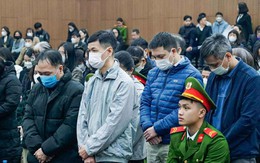 Buộc phải đưa tiền theo 'cơ chế của cục trưởng', nhiều giám đốc bị đề nghị án tù