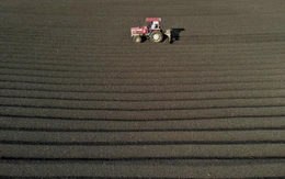 Đẹp hút mắt, mùa phơi cà phê 'phủ nâu' Tây Nguyên đại ngàn