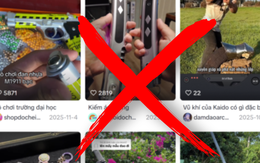 Học sinh đăng clip đe dọa khủng bố lên TikTok cho ngầu