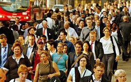 Thị dân dễ bị stress hơn nông dân... là do não