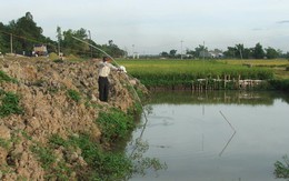 Tắm ao, hai anh em ruột chết đuối