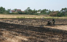 Một cụ già chết cháy trên đồng rơm