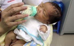 "Con tôi quá dại dột!"