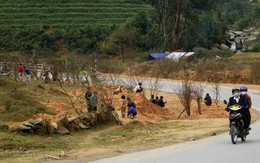 Đào Sa Pa xuống núi