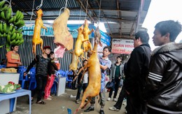 Thịt thú rừng bán tràn lan ở chùa Hương