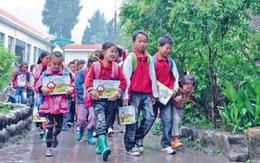 Trung Quốc: phát hiện sách có chất gây ung thư