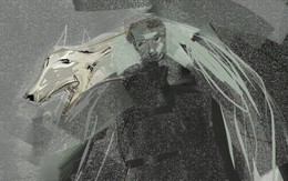 Truyện ngắn 1.200: Nguyên tắc của tận tụy