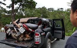 "Thiếc tặc" lại hoành hành tại thung lũng Tình yêu