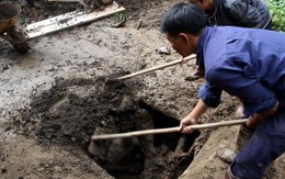 Lấp địa đạo "thiếc tặc" tại Thung lũng Tình yêu