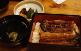 Hồi phục sức khỏe với lươn Nhật