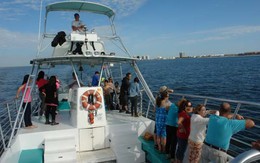 "Cho", sao cho khéo?