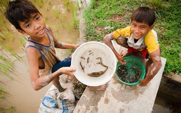 Chiến lợi phẩm