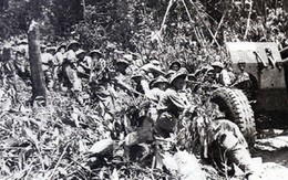 Vẫn mơ thấy trận đấu pháo năm xưa