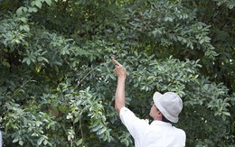 Tranh cãi nảy lửa về chụp chim, khoe chim