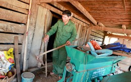 Cha viết đơn "xin cho con... đi tù"