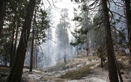 Cháy rừng đe dọa "báu vật quốc gia" của Mỹ
