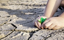 ​Thời tiết ngày càng cực đoan do biến đổi khí hậu