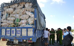 ​Xe tải chở hơn 9 tấn xương thối để làm bột nêm