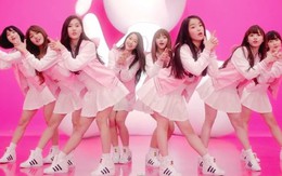 Nhóm nhạc nữ bị bắt tại Mỹ vì nhầm là gái gọi