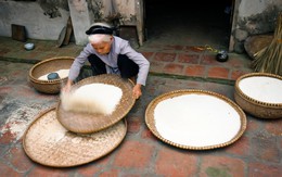 Sàng gạo