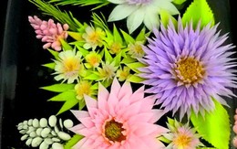 Vẽ tranh trên thạch rau câu