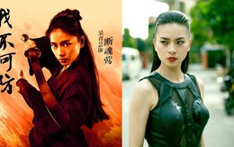 Ngô Thanh Vân: sát thủ trong Siêu trộm, Ngọa hổ tàng long 2