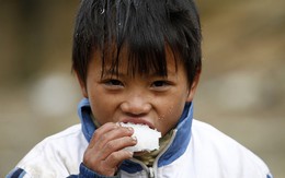 ​Bản Mù bừng tỉnh sau tuyết tan