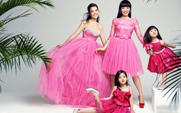 ​Chung Lệ Đề đưa gia đình sang Việt Nam ăn Tết