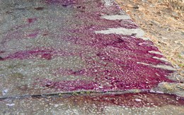 Hóa chất rơi vãi tím rịm 4km đường