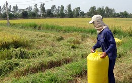 “Bốn nhà” đề xuất tâm huyết gửi tân Bộ trưởng Bộ NN&amp;PTNT