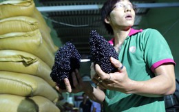 ​Bắt quả tang lò cà phê độn đậu nành, pha nước mắm