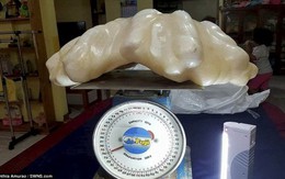 Ngỡ ngàng khối ngọc trai 100 triệu USD nặng 34kg ở Philippines