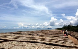 Thăng trầm nghề làm nước mắm: Những khó khăn cuối cùng