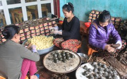 Đặc sản bánh gai Tứ Trụ hút hàng những ngày cận Tết Đinh dậu