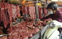 Hơn nửa số heo đeo vòng nhận diện chỉ để đối phó