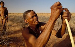 Hé mở những cuộc di cư ở cái nôi loài người