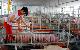 Ơ-rê-ca... tìm ra rồi...