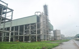 Bị Phó thủ tướng phê bình, lãnh đạo PVN nhận lỗi