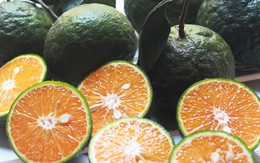 ​Công dụng chữa bệnh của quả cam