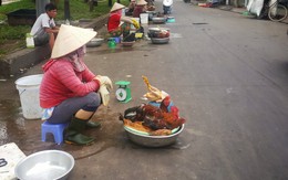 Nuôi một con gà trong nội thành TP.HCM cũng là trái phép