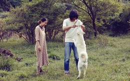 ​Đài Trung Quốc bị tố đạo ý tưởng chương trình của Lee Hyori