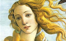 Lời biện minh cho cái đẹp