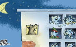 Từ chuyện con chó ở khu tập thể...